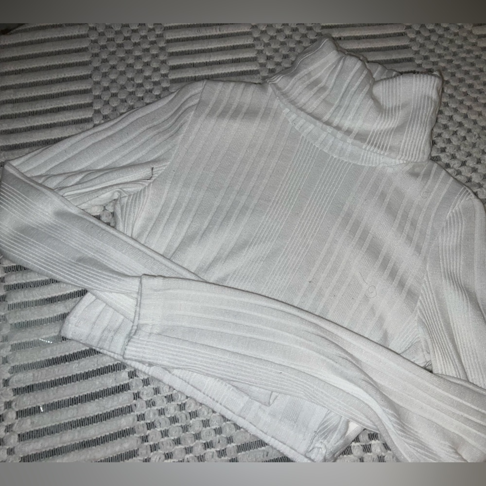 Turtleneck Knit Cropped Top